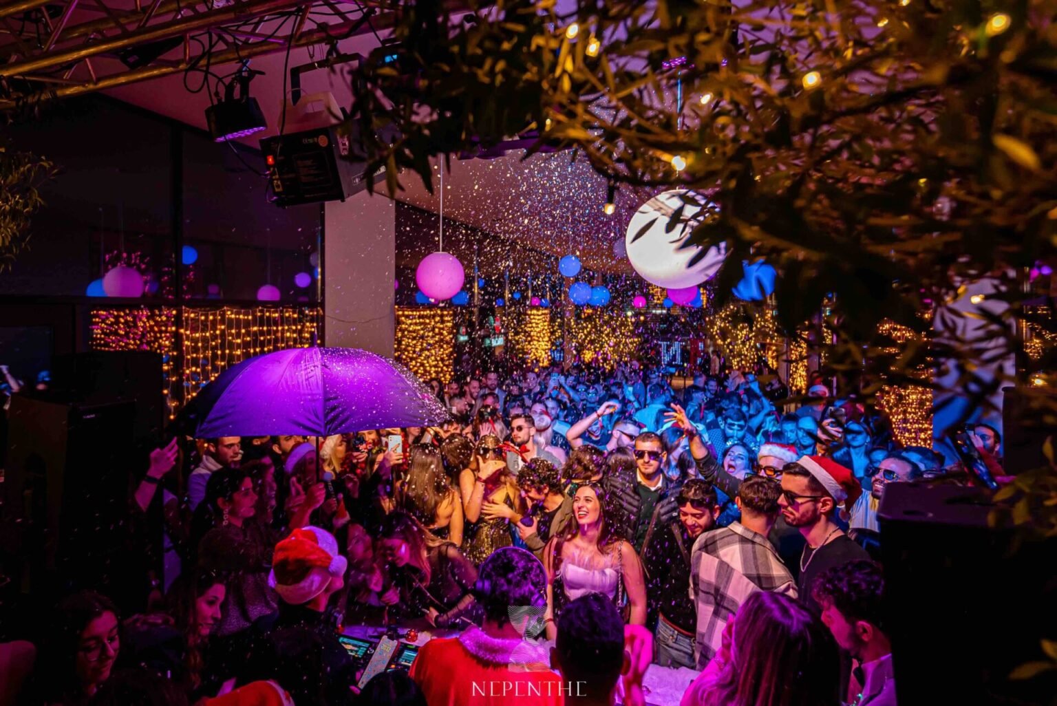 The crowd at NEPENTHE Christmas Special
